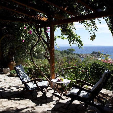 Bougainvillea Γάιος Εξωτερικό φωτογραφία
